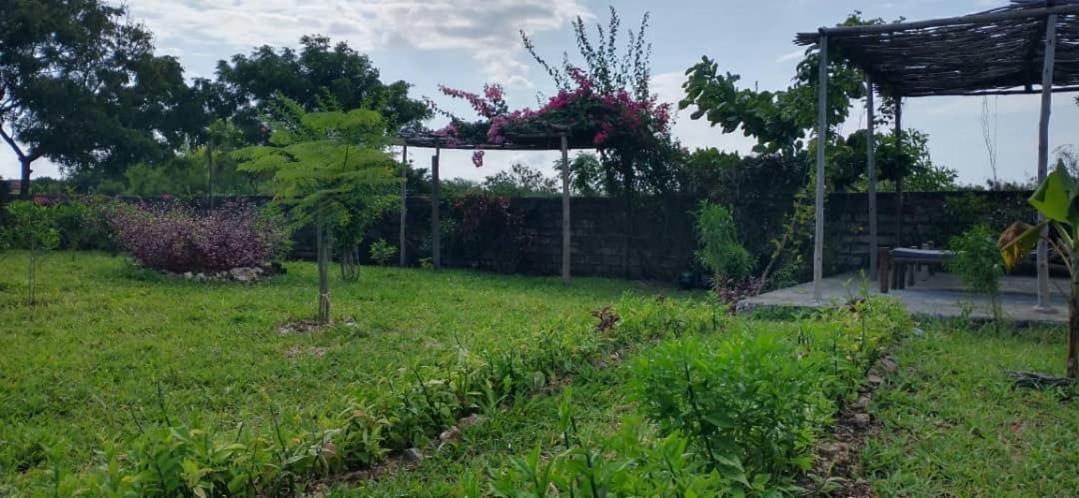 Matemwe Ocean View Villas Kültér fotó