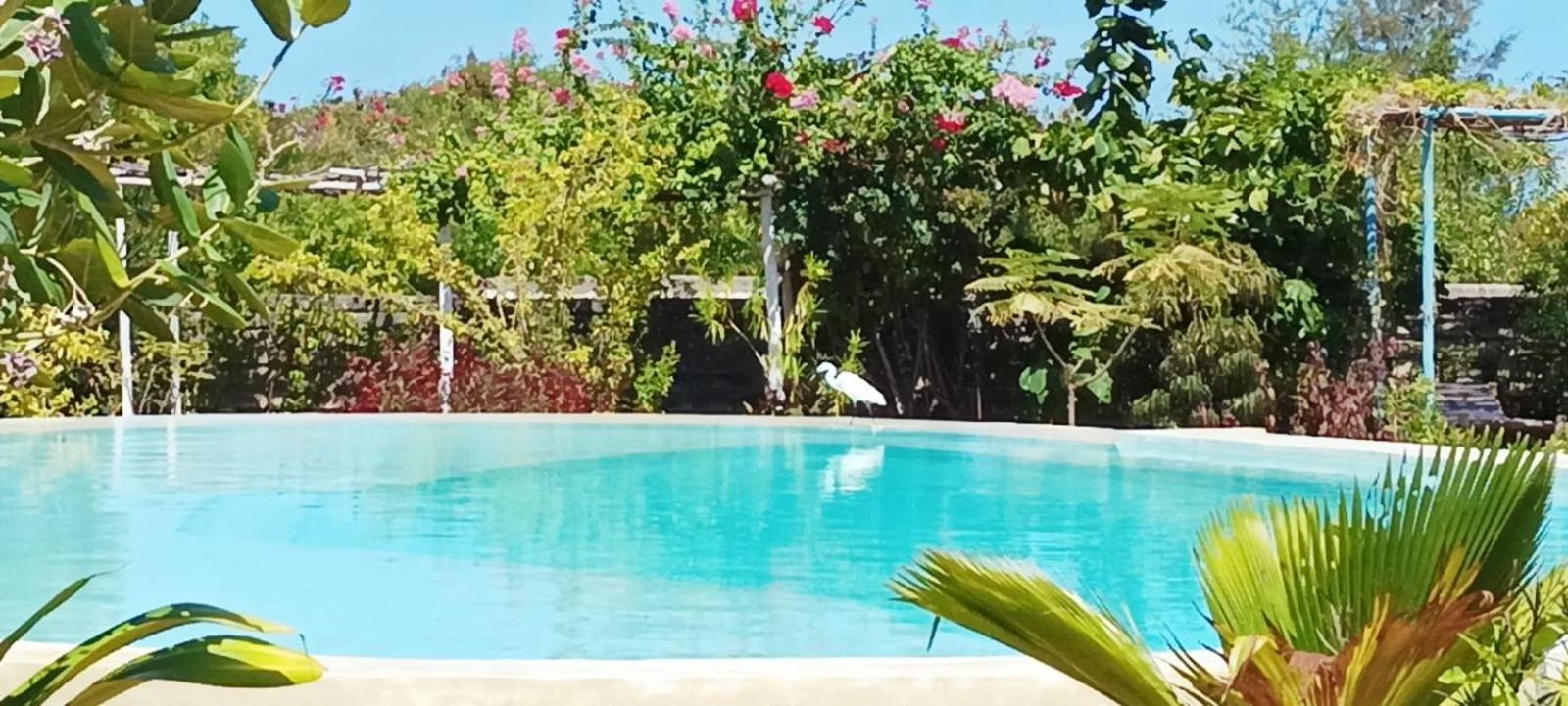 Matemwe Ocean View Villas Kültér fotó