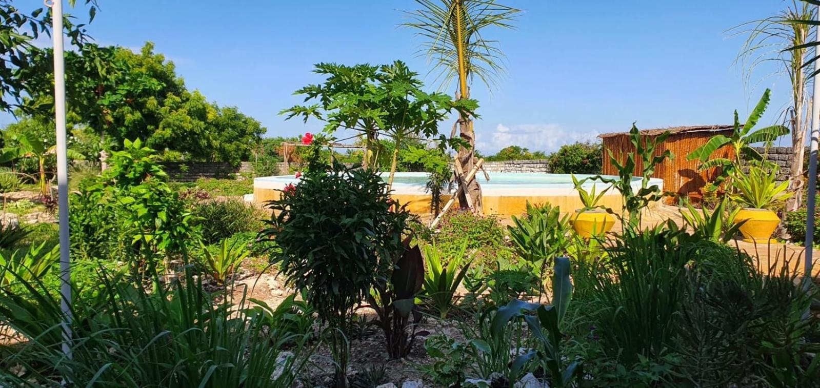 Matemwe Ocean View Villas Kültér fotó